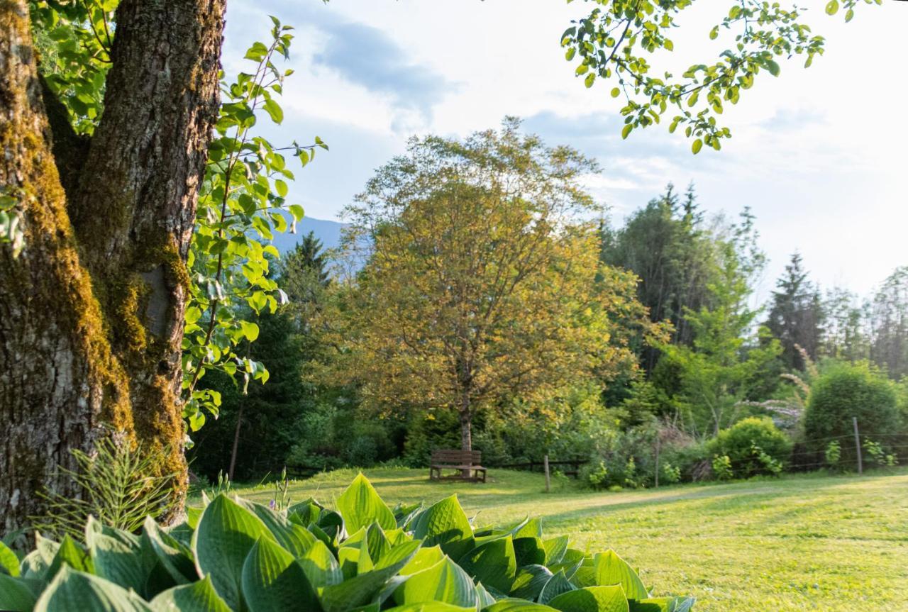 Gartenlodge Auszeit Нёч Экстерьер фото